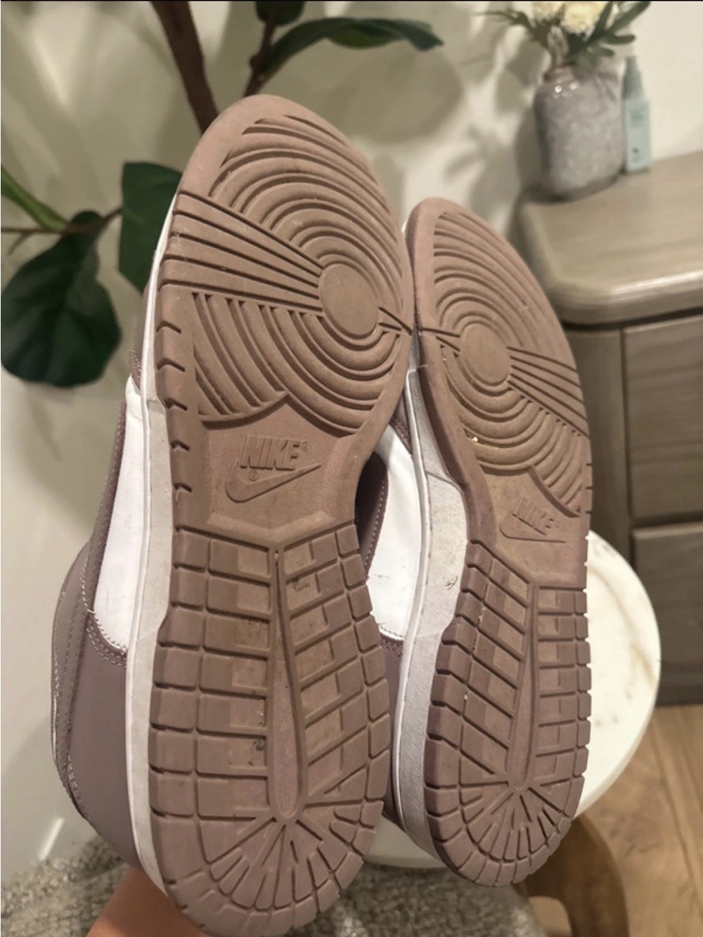Nike Dunks
